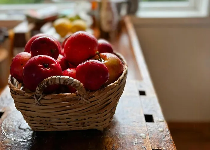 1950s House With Sauna And Sea In Tatil Evi