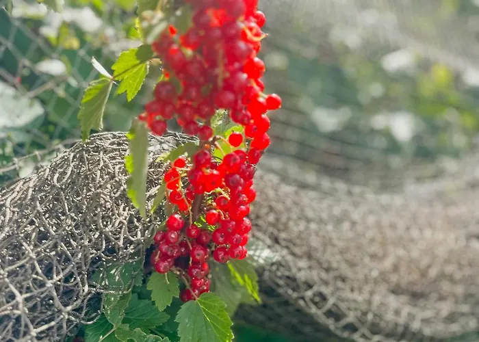 1950s House With Sauna And Sea In